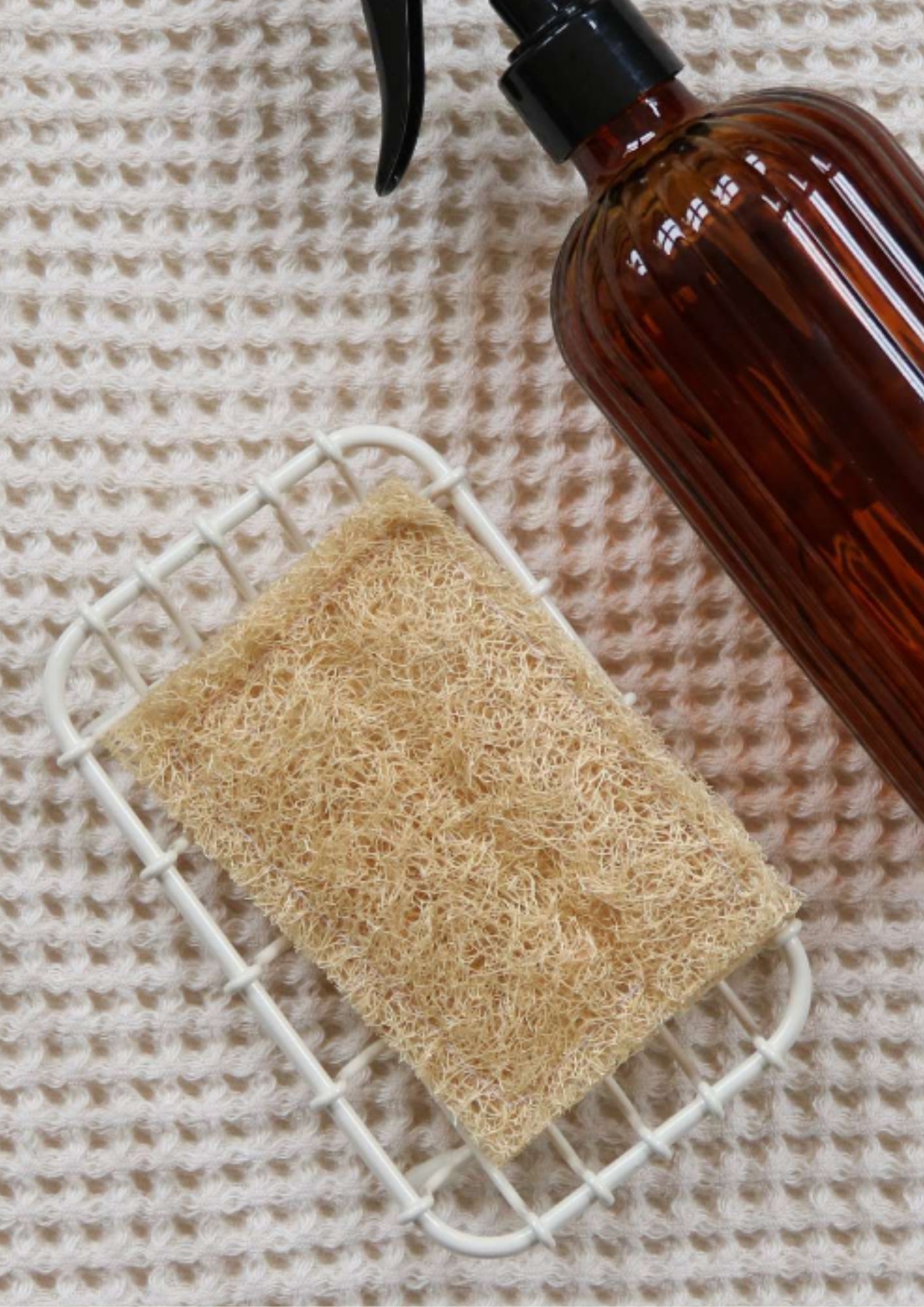 JABONERA LUFFA 100%