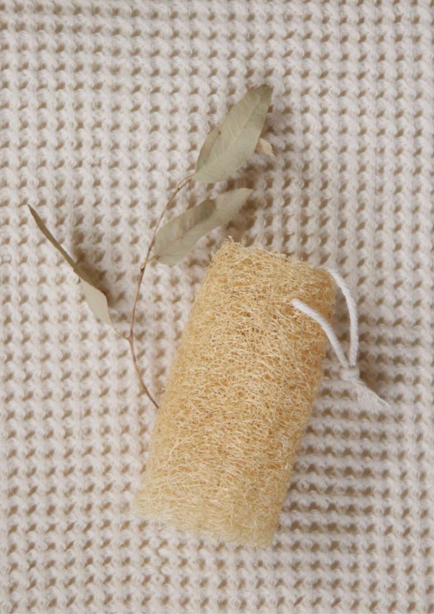 ESPONJA SUAVE LUFFA 100%