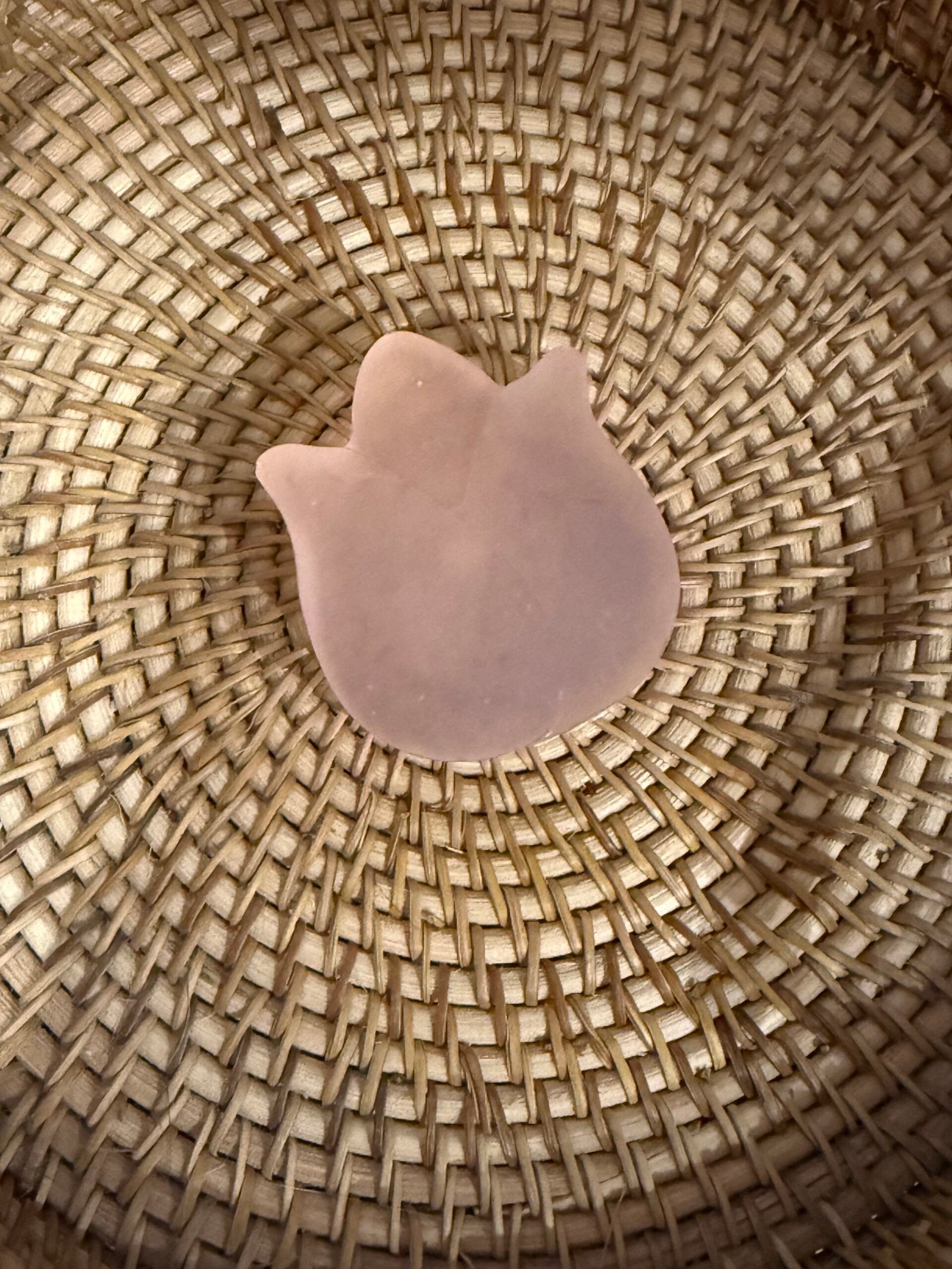 Jabón Tulipan Vainilla